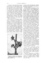 giornale/TO00210416/1916/unico/00000572