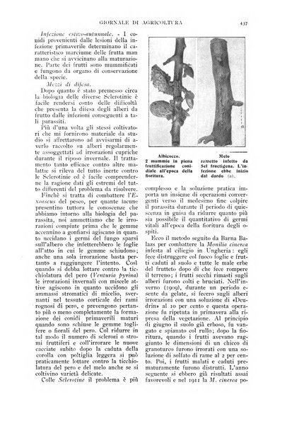 L' Italia agricola giornale di agricoltura