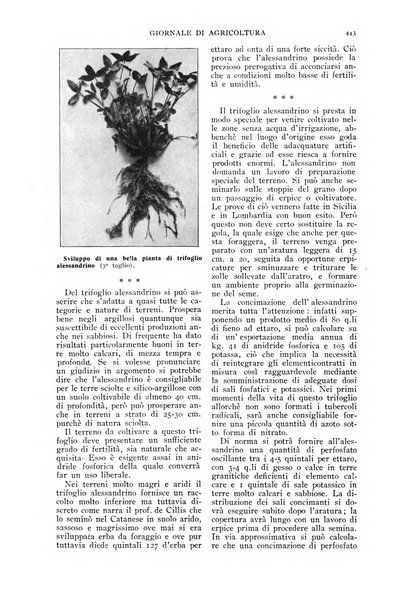 L' Italia agricola giornale di agricoltura