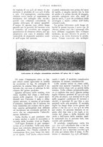 giornale/TO00210416/1916/unico/00000580