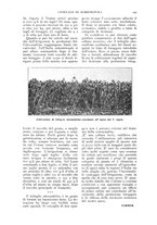 giornale/TO00210416/1916/unico/00000581