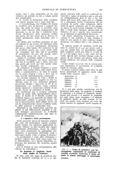 L' Italia agricola giornale di agricoltura