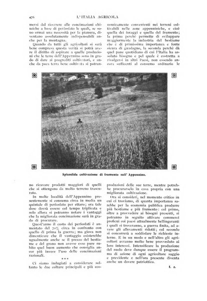 L' Italia agricola giornale di agricoltura