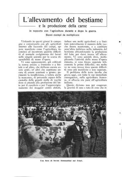 L' Italia agricola giornale di agricoltura