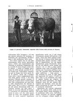 giornale/TO00210416/1916/unico/00000650