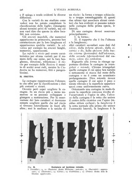 L' Italia agricola giornale di agricoltura