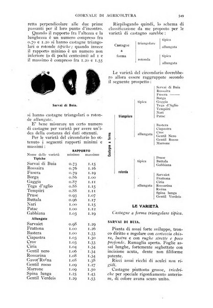 L' Italia agricola giornale di agricoltura