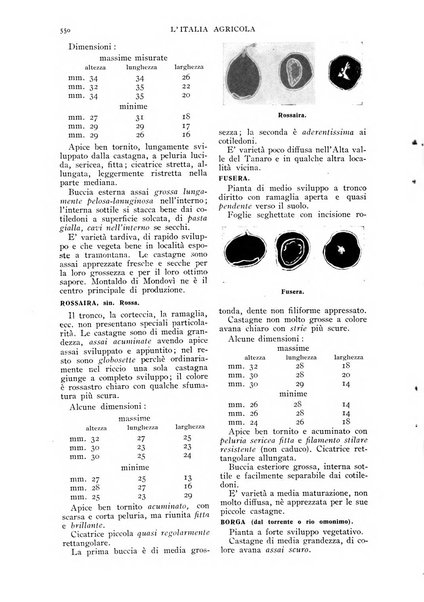 L' Italia agricola giornale di agricoltura