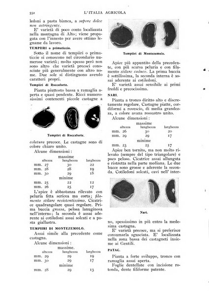 L' Italia agricola giornale di agricoltura