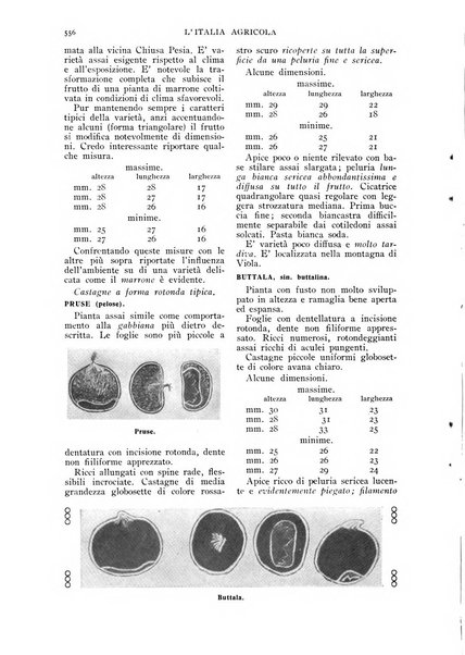 L' Italia agricola giornale di agricoltura