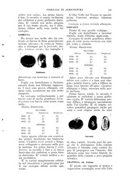 L' Italia agricola giornale di agricoltura