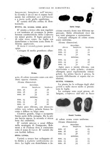 L' Italia agricola giornale di agricoltura