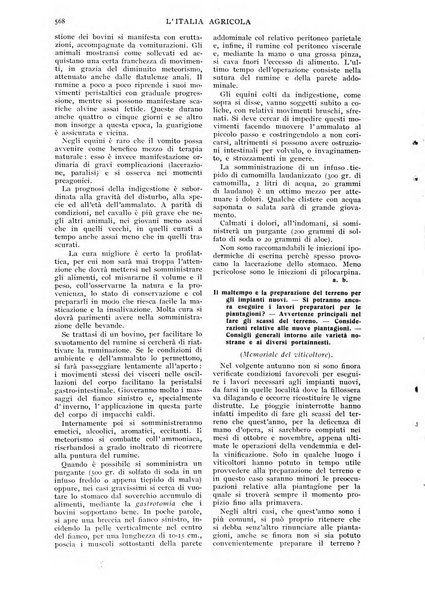 L' Italia agricola giornale di agricoltura