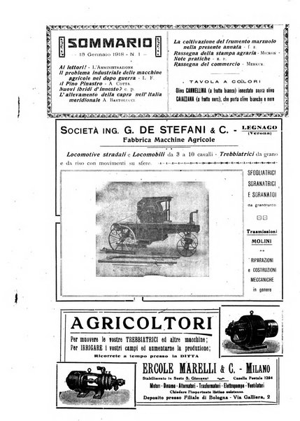 L' Italia agricola giornale di agricoltura