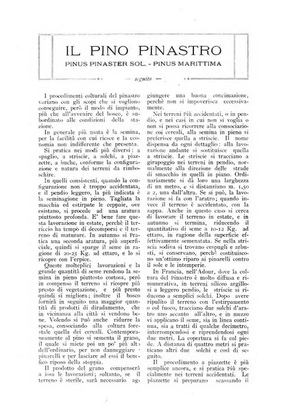 L' Italia agricola giornale di agricoltura