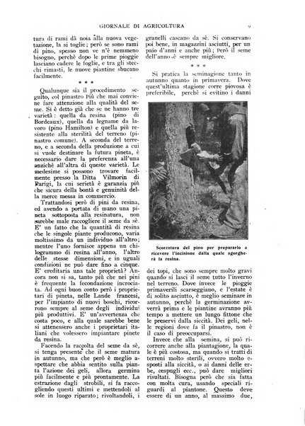 L' Italia agricola giornale di agricoltura