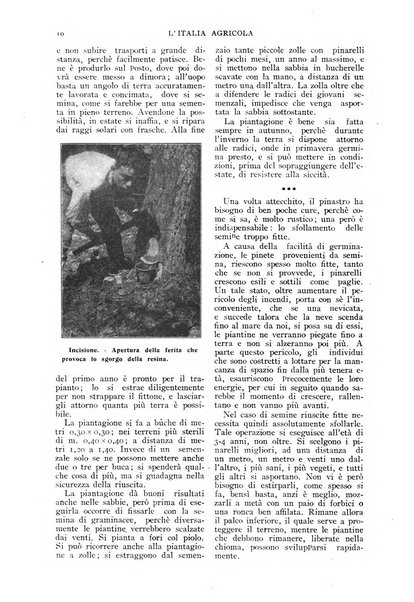 L' Italia agricola giornale di agricoltura