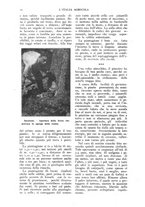 giornale/TO00210416/1918/unico/00000024