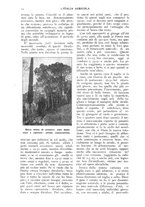 giornale/TO00210416/1918/unico/00000028