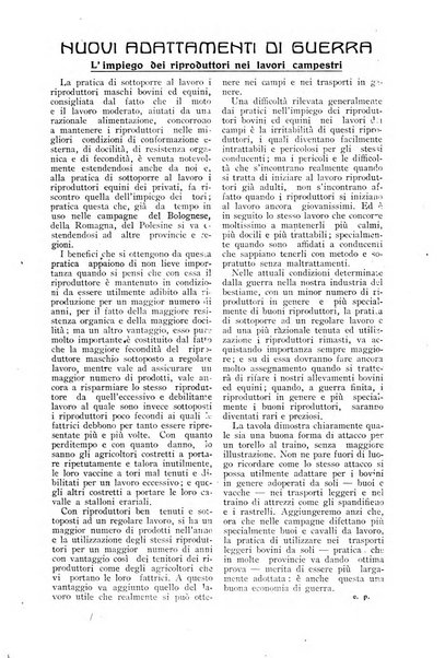 L' Italia agricola giornale di agricoltura