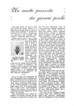 giornale/TO00210416/1918/unico/00000072