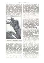 giornale/TO00210416/1918/unico/00000074
