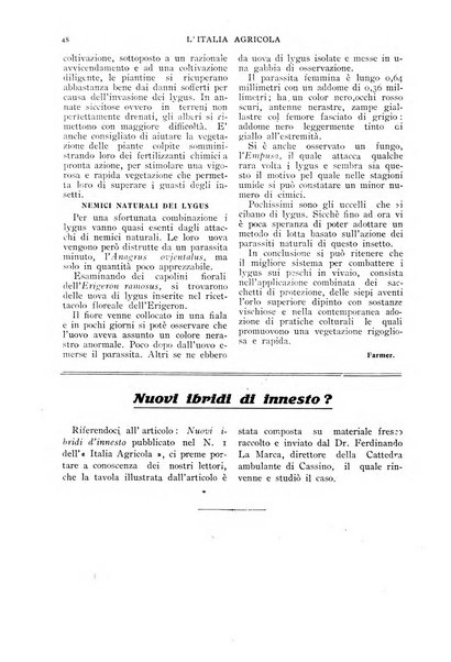 L' Italia agricola giornale di agricoltura