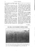 giornale/TO00210416/1918/unico/00000122