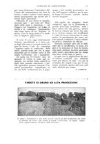 giornale/TO00210416/1918/unico/00000125