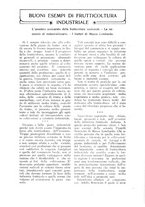 giornale/TO00210416/1918/unico/00000133