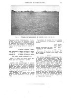 giornale/TO00210416/1918/unico/00000137