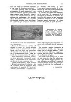 giornale/TO00210416/1918/unico/00000173