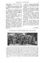 giornale/TO00210416/1918/unico/00000175
