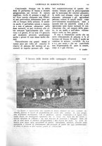 giornale/TO00210416/1918/unico/00000185
