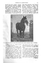 giornale/TO00210416/1918/unico/00000187