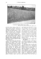 giornale/TO00210416/1918/unico/00000286