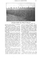 giornale/TO00210416/1918/unico/00000287
