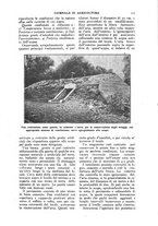 giornale/TO00210416/1918/unico/00000319