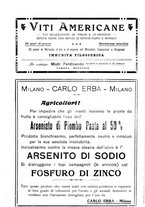giornale/TO00210416/1918/unico/00000355