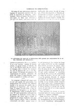 giornale/TO00210416/1918/unico/00000365