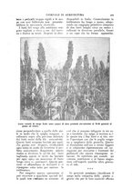 giornale/TO00210416/1918/unico/00000367