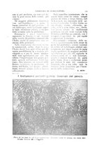 giornale/TO00210416/1918/unico/00000373