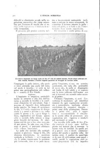 L' Italia agricola giornale di agricoltura