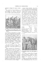 giornale/TO00210416/1918/unico/00000413