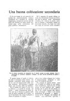 giornale/TO00210416/1918/unico/00000419