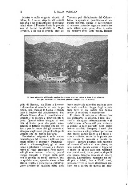 L' Italia agricola giornale di agricoltura