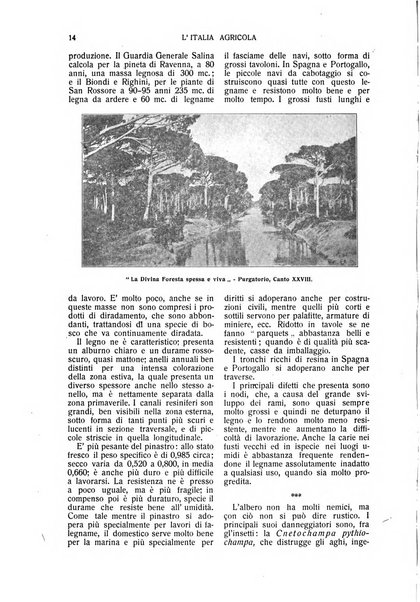 L' Italia agricola giornale di agricoltura