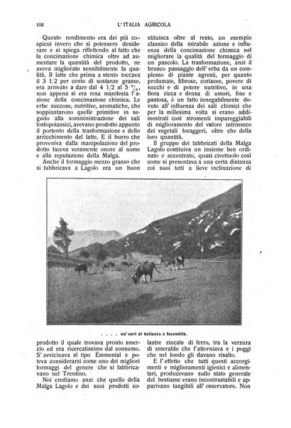 L' Italia agricola giornale di agricoltura