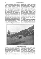 giornale/TO00210416/1919/unico/00000122