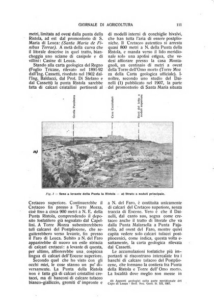 L' Italia agricola giornale di agricoltura